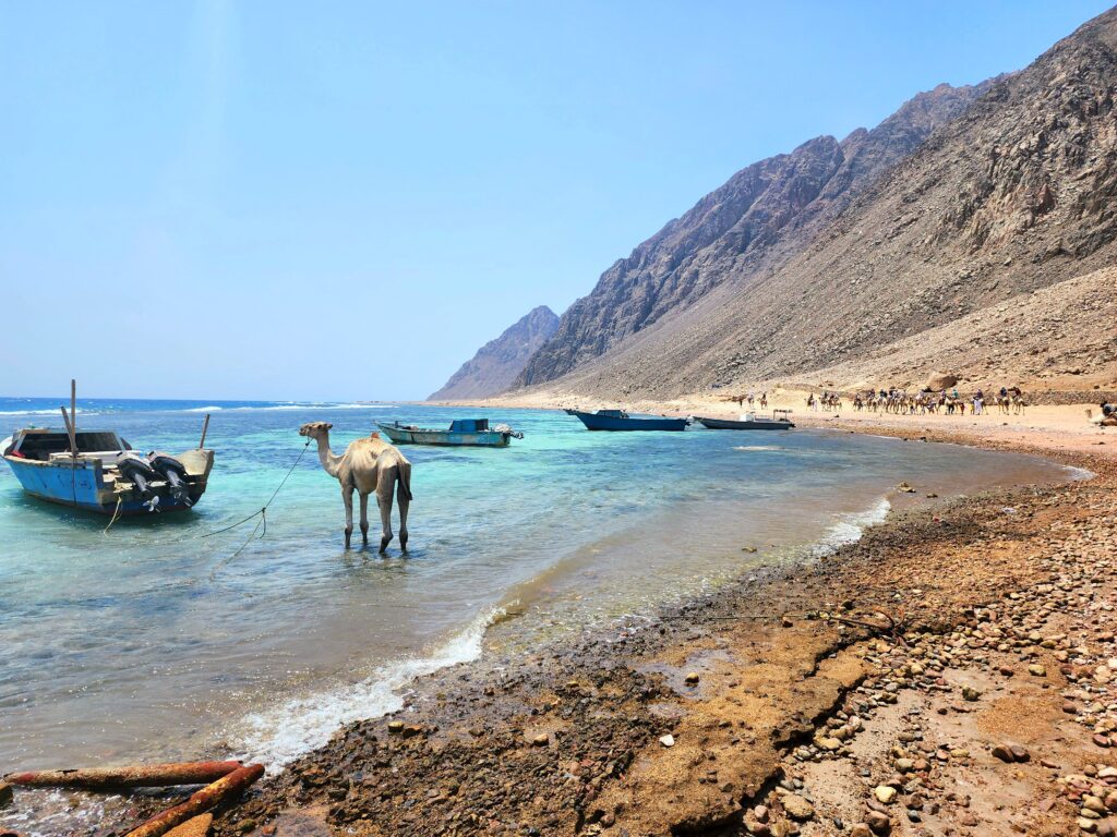 Dahab, Egypt - Dahab, South Sinai
Egypt Travel Guide